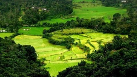 Fall in love with the natural, wild beauty of Coorg