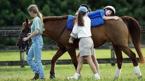 Horses: For assisting mental health patients