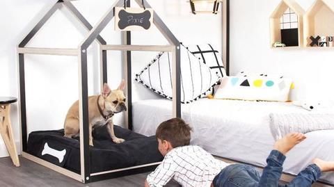 How to create private section for your dog