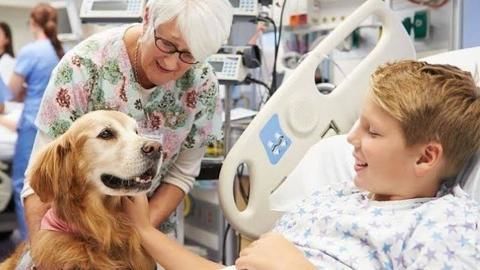 Dogs: They help calm and relax people